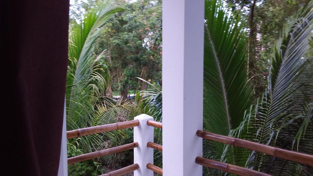 Mini Pini Bird Watching And Cenote Loft Villa Cozumel Exterior photo