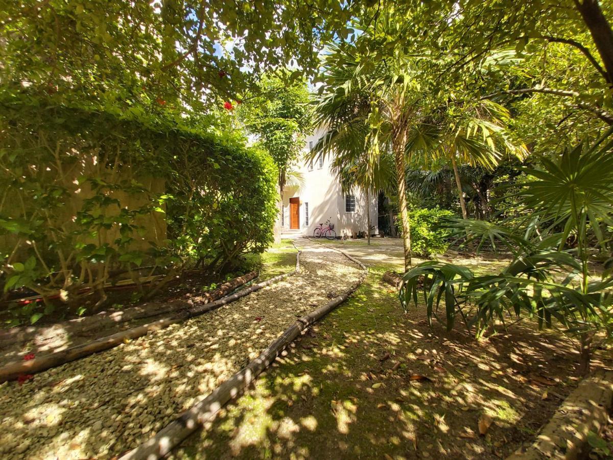 Mini Pini Bird Watching And Cenote Loft Villa Cozumel Exterior photo